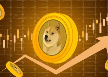 DOGE Whale’s $145 Million Bet on Dogecoin, What's Next?