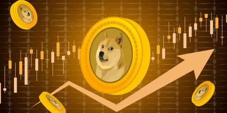 DOGE Whale’s $145 Million Bet on Dogecoin, What's Next?