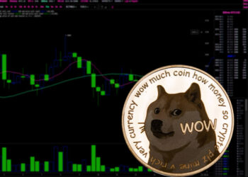 Dogecoin rallies