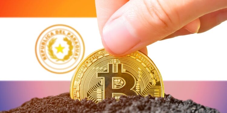 Hive Digital’s Paraguay Purchase to Quadruple Bitcoin Mining Capacity by Late 2025