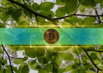 Is Bitcoin Poised for a $100K Rebound? Bearish Crowd Suggests So