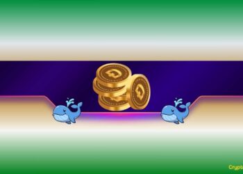 Is DOGE Primed for a New Bull Run?