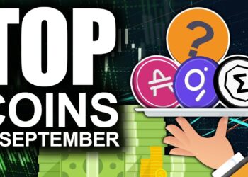 Top Coins For September (INSANE Profit Potential From These Tokens)