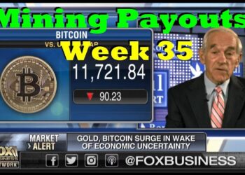 Week 35 – Mining Payouts 08/13/19