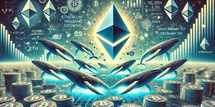 Ethereum Whales Holding Over 10,000 ETH Grow Since February 1st – Accumulation Signal?