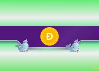 Is DOGE's Price Poised for a Rally?