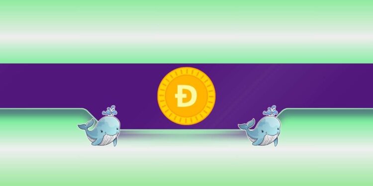 Is DOGE's Price Poised for a Rally?