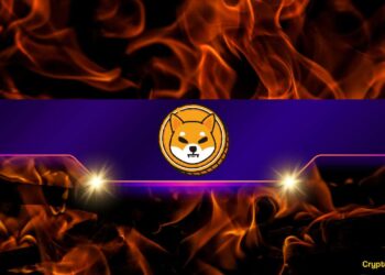 Is the SHIB Price Ready to Take off?