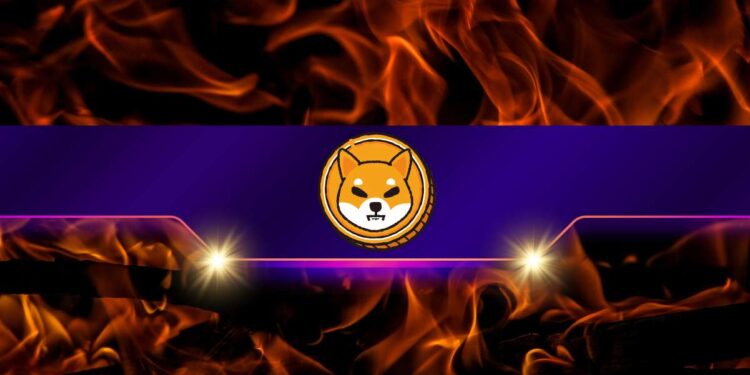 Is the SHIB Price Ready to Take off?