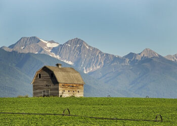 Montana house representatives reject Bitcoin reserve bill