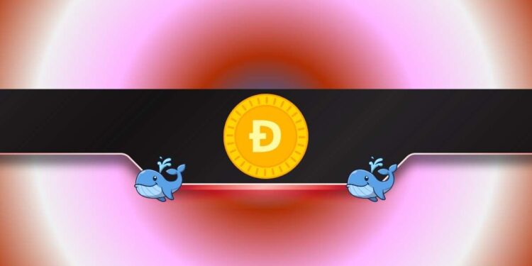 More Pain Ahead for DOGE?