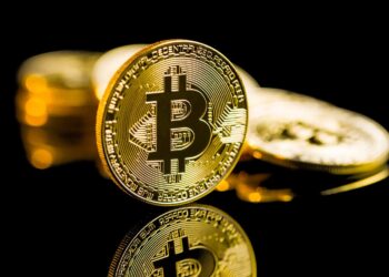 Neptune adds 20 BTC to Bitcoin strategy, also buys 1m DOGE