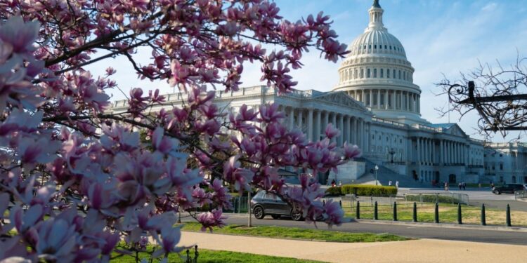 New Bill Proposes Strict Stablecoin Regulations With Federal Reserve Oversight