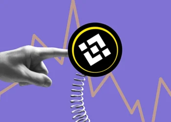 Should You Buy BNB in the Dip?