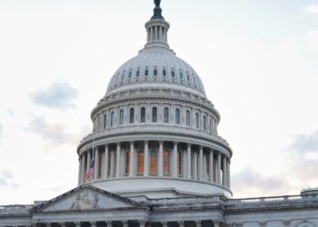 US Lawmaker Blasts Trump’s Meme Coin, Accuses Elon Musk’s DOGE of Gutting Consumer Protections