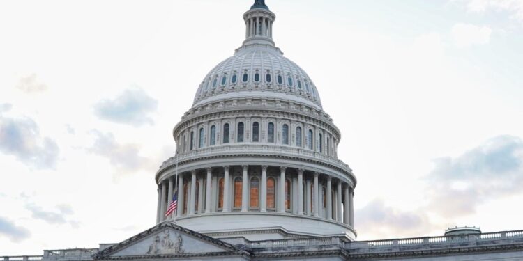 US Lawmaker Blasts Trump’s Meme Coin, Accuses Elon Musk’s DOGE of Gutting Consumer Protections