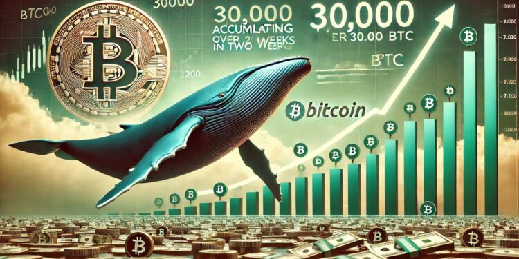 Bitcoin Whales Have Bought Over 30,000 BTC In Two Weeks – Sign Of A Coming Impulse?
