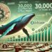 Bitcoin Whales Have Bought Over 30,000 BTC In Two Weeks – Sign Of A Coming Impulse?