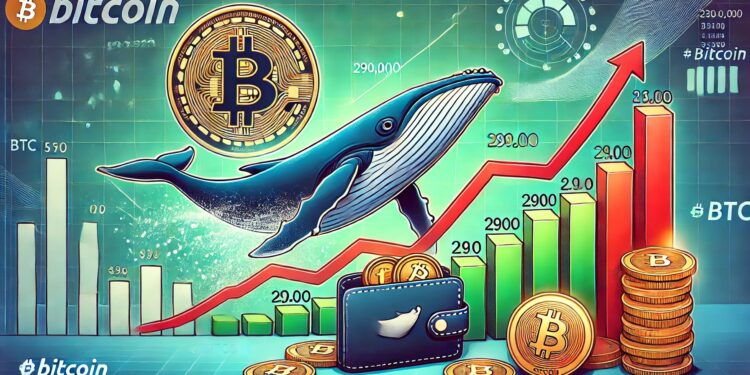 Bitcoin Whales Stop Selling – 290K BTC Offload Signals Rising Accumulation