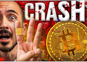 Crazy Bitcoin Volatility (Top 3 Indicators Show What's Coming)