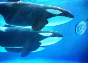 Hyperliquid whale denies cybercrime claims, ZachXBT to release evidence