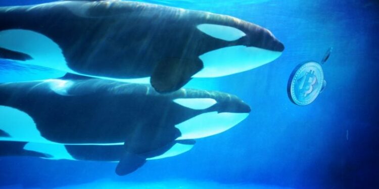 Hyperliquid whale denies cybercrime claims, ZachXBT to release evidence