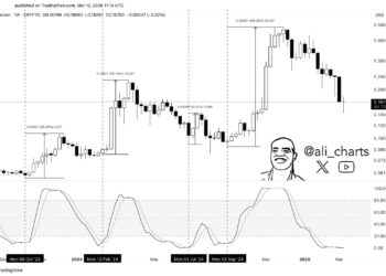 Is Dogecoin (DOGE) or Rexas Finance (RXS) the Next Crypto Under $1 to Explode? The Answer is Clear as Day