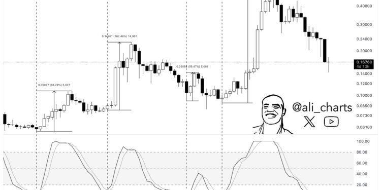 Is Dogecoin (DOGE) or Rexas Finance (RXS) the Next Crypto Under $1 to Explode? The Answer is Clear as Day