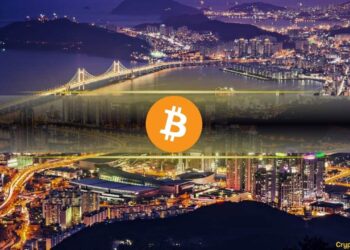 No Strategic Bitcoin Reserve in South Korea: Report