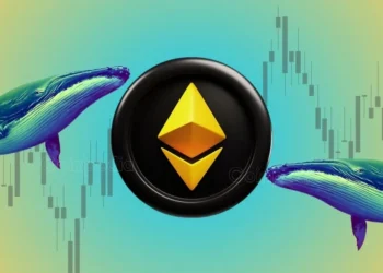 Whale Pressure Drops as Ethereum Faces Sharp Decline Here’s the Impact on ETH Price