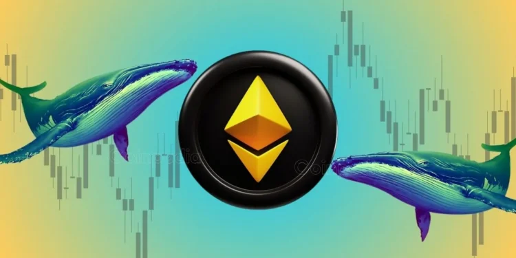Whale Pressure Drops as Ethereum Faces Sharp Decline Here’s the Impact on ETH Price