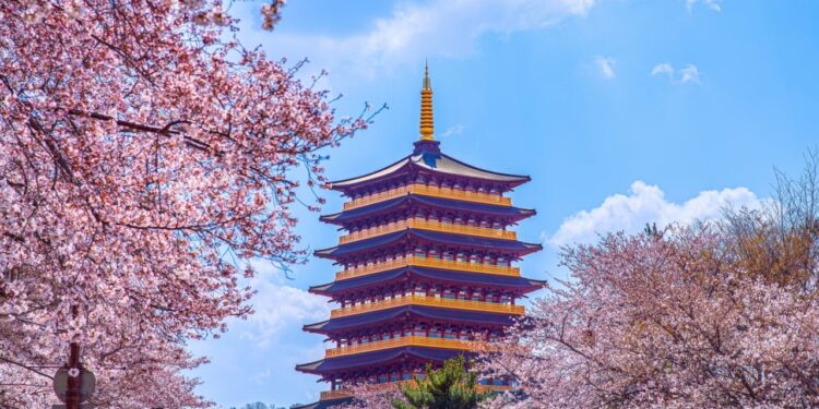 South Korea to Trial CBDC With 100,000 Users and 7 Banks