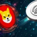 shib-muttum-finance