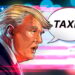 Federal taxes to be 'substantially reduced' once tariffs set in: Trump