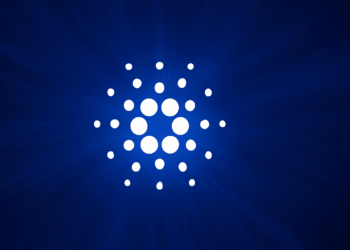 Cardano news