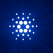 Cardano news
