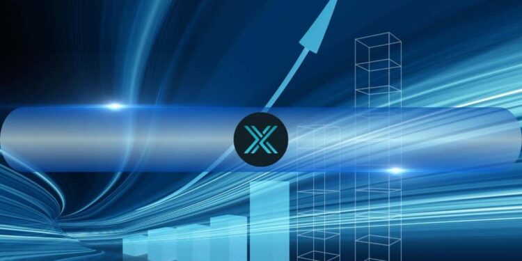 Immutable X and zkEVM NFT Sales Surge 55% in Q4 2024, But Market Participation Declines
