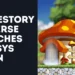 MapleStory Universe Launches Henesys Chain