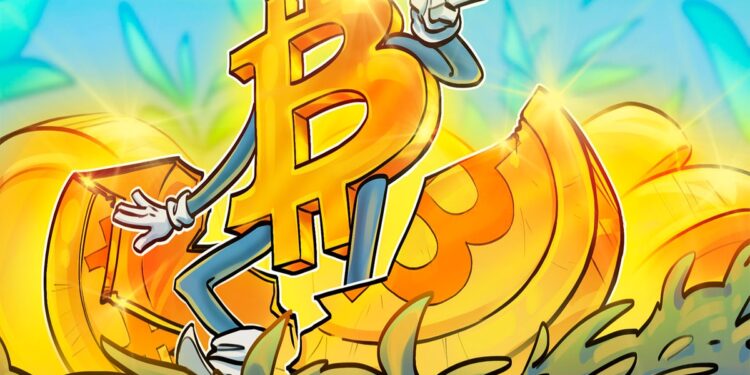 'Strategy is synthetically halving Bitcoin' — Author and analyst