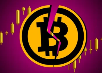 Why Bitcoin Price is Down Today?
