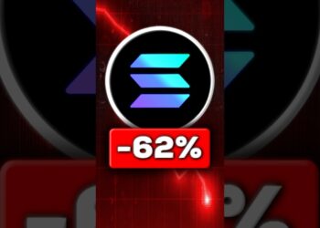 Will Solana Survive The Crypto Crash? 😳