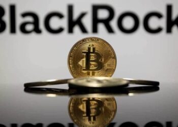 Abu Dhabi sovereign wealth fund, Citadel Advisors boost BlackRock Bitcoin ETF holdings
