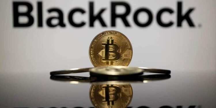 Abu Dhabi sovereign wealth fund, Citadel Advisors boost BlackRock Bitcoin ETF holdings