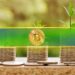 BTC Price Slips as Long-Term Bitcoin Holders Begin to Take Profits