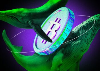 Bitcoin Whale Doubles Down With $1.25 Billion Long Bet on Hyperliquid