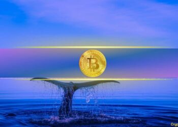 Crypto Whale Wynn Quits After Scoring $25M from $1.25B Bitcoin Bet