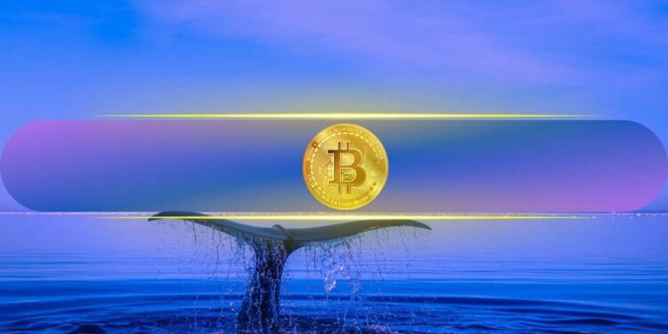 Crypto Whale Wynn Quits After Scoring $25M from $1.25B Bitcoin Bet