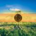 El Salvador Secures IMF Deal, Retains Bitcoin Holdings Amid Fiscal Changes