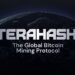 How a Game Turned Into the Largest Bitcoin Mining Protocol, Powered by 8 Million Users — The Story of TeraHash