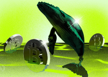 New Bitcoin Whales Now Hold Majority of BTC Capital